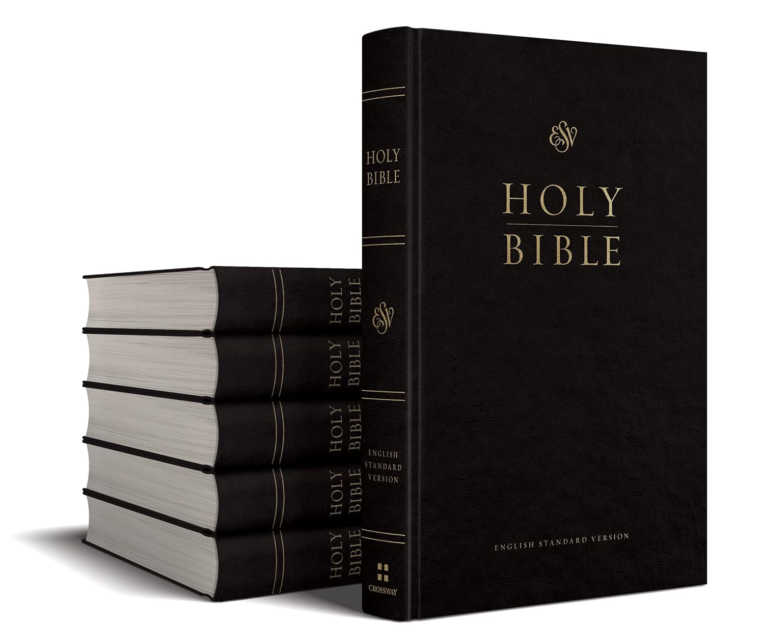 ESV Church Bible (Case Quantity)