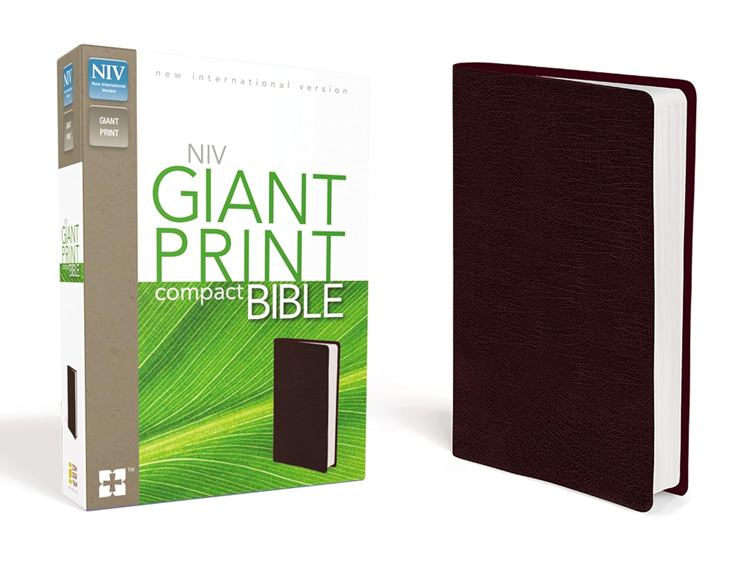 Giant Print Compact Bible NIV