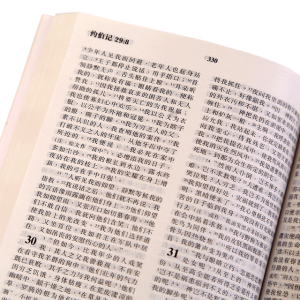 Chinese Full Bible – SC