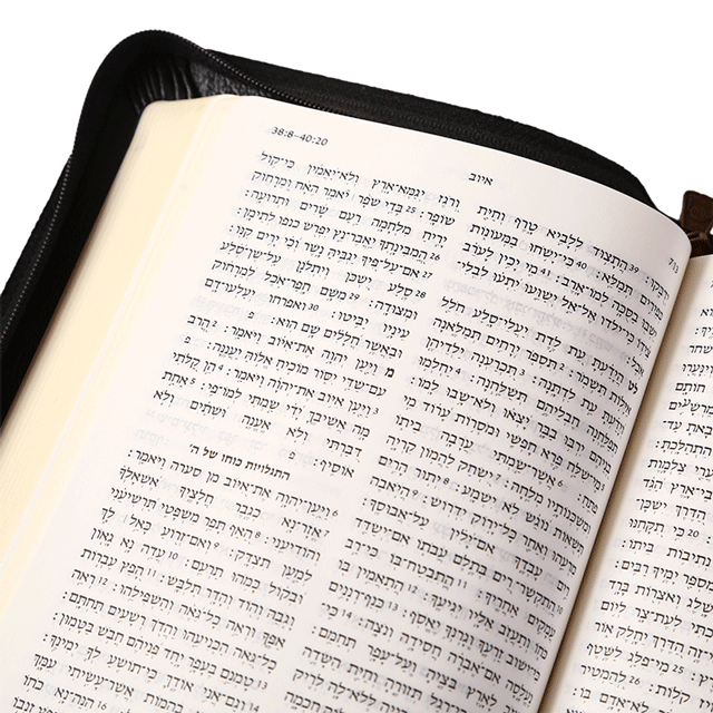 Hebrew Bible STM67Z